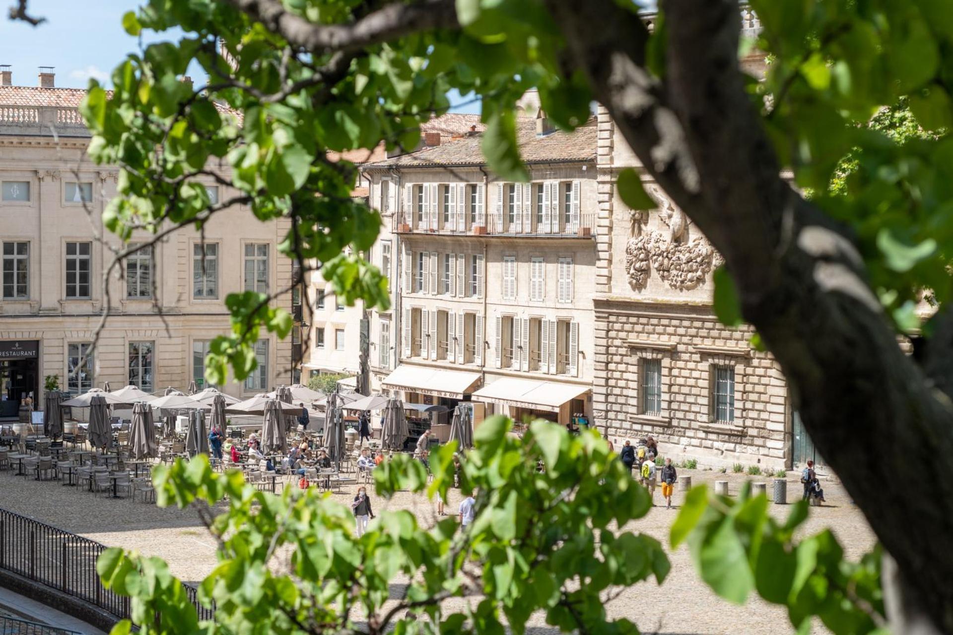Bien D'Exception En Face Du Palais Des Papes Avignon Exterior foto